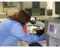 Laboratory Services